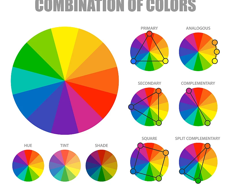 Foto 2 Paleta de colores para escorts según tu tono de piel