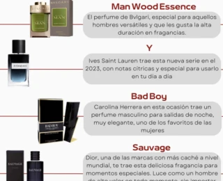 Foto 1 Los mejores perfumes para hombres escorts 2024