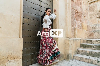 Datos curiosos sobre escorts – La historia de los servicios VIP