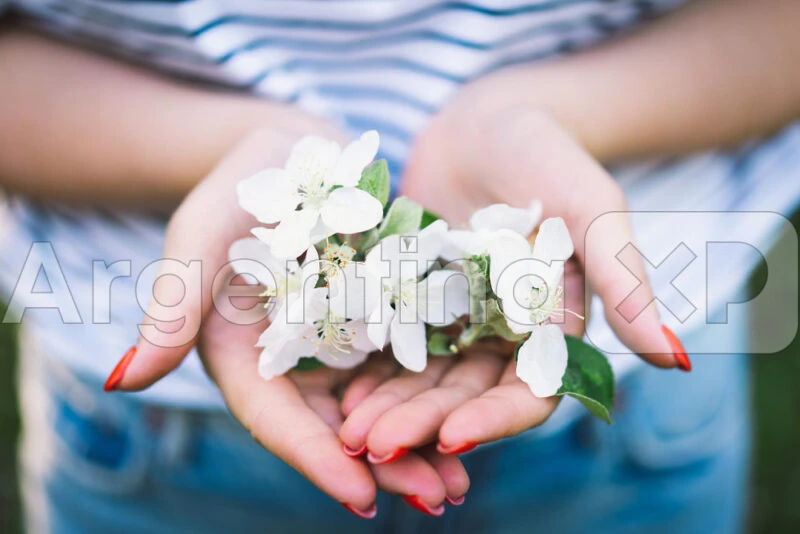 Foto 2 Cuidado herbal – Cómo cuidar tu cuerpo de manera natural